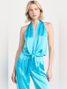 The Sei Sleeveless Tie Front Blouse in Sky Silk